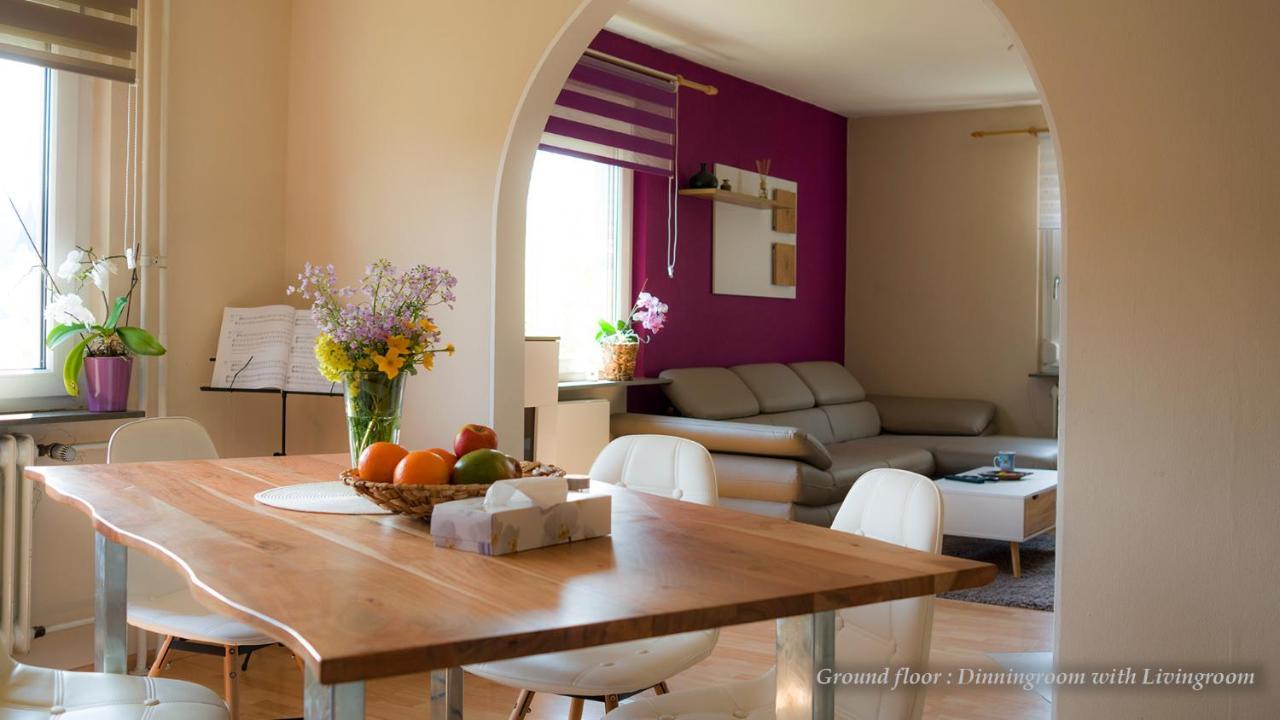 Entire House In Schwarzwald With Mountain View, Private Sauna, Gym, Garden And Terraces Unterkirnach Exteriör bild