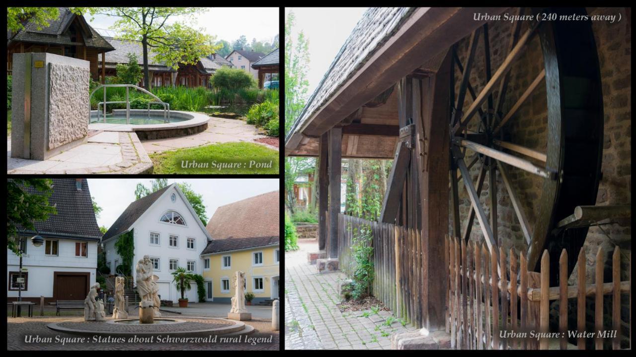 Entire House In Schwarzwald With Mountain View, Private Sauna, Gym, Garden And Terraces Unterkirnach Exteriör bild