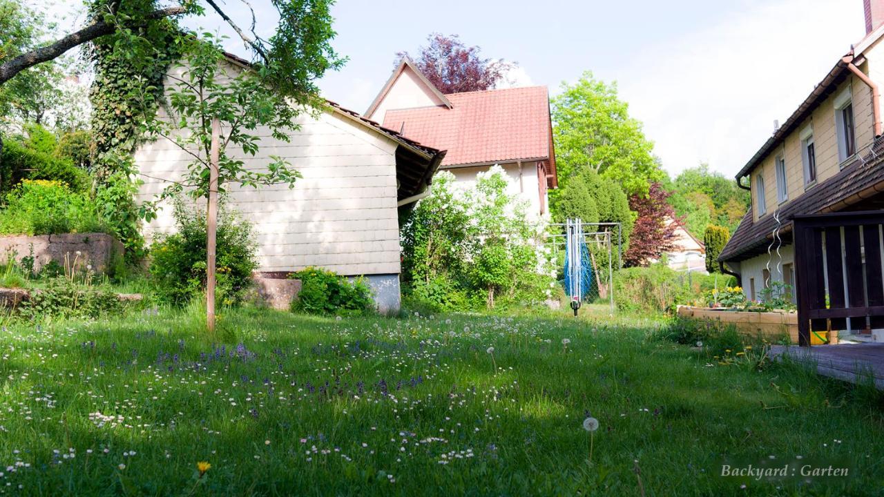 Entire House In Schwarzwald With Mountain View, Private Sauna, Gym, Garden And Terraces Unterkirnach Exteriör bild