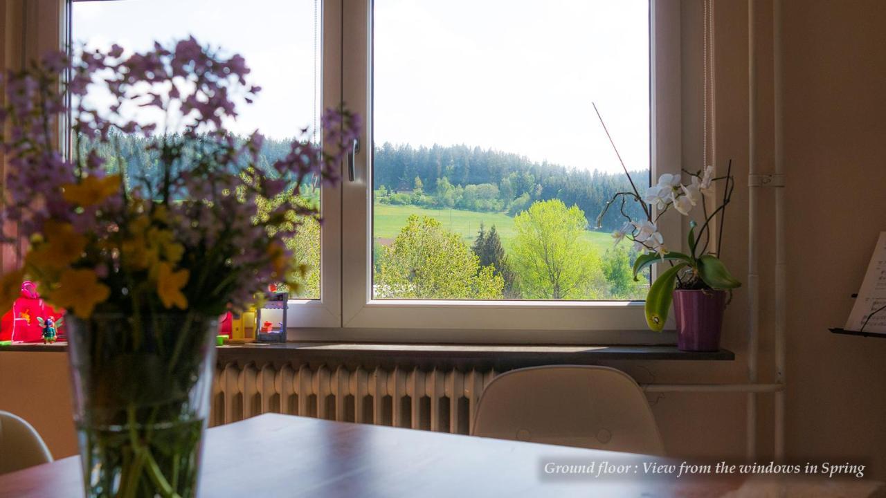 Entire House In Schwarzwald With Mountain View, Private Sauna, Gym, Garden And Terraces Unterkirnach Exteriör bild